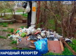 Ставропольчанка пожаловалась на мусорную гору по улице Железнодорожной