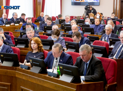 Депутаты Ставрополья могут скрыть информацию о своих доходах