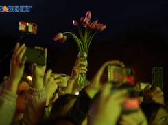 За выступление 50 миллионов? Ставропольцы возмущены гонорарами звезд на Новый год