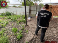 За убийство бойца СВО из-за его замечания алабаю ставрополец получил 8,5 лет 