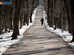 Небольшой снег и -6 градусов обещают на Ставрополье в День защитника Отечества
