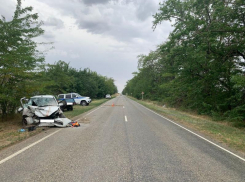 Виновник ДТП под Светлоградом заплатит более 356 тысяч рублей за санавиацию пострадавшего