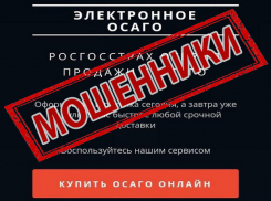 Выдавшая себя за сайт Россгосстраха страница мошенников выманила у жительницы Ставрополя деньги за электронный полис ОСАГО