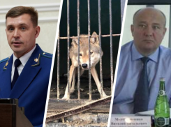 Прокурора Ставрополья и главу Россельхознадзора попросили заинтересоваться беспределом в зоопарке «Берендеево» 
