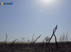 Засушливый август и аномальную температуру обещают синоптики в Ставропольском крае