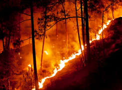 Половина Новомарьевской поляны сгорела в Ставрополе