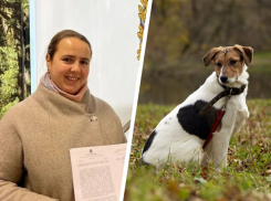 Приют «Лучший друг» может выпустить 200 собак из-за требования властей снести забор в Ставрополе