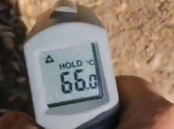 Почва в округе Ставрополья прогрелась до аномальных 66 градусов 