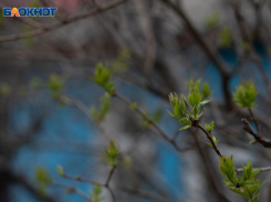 Ставрополье затопит сильными дождями после майских праздников 