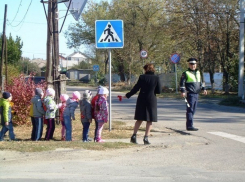 За год на ставропольских дорогах погибло 17 и пострадали почти 400 детей