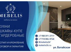Товар дня от мебели на заказ «Mebelis»
