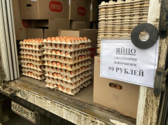 Власти Ставрополья на время приостановили продажу дешевых яиц 