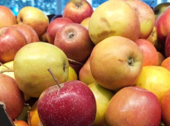 Ставропольскую агрофирму «Сады Бештау» признали банкротом 