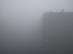 Туман и заморозки разбудят жителей Ставрополья 6 февраля 