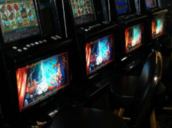 Слона-то я и не заметил: нелегальный игорный клуб работал прямо под носом у полиции в Благодарном