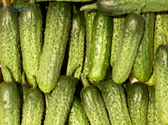 Спад цен на огурцы и картофель зафиксировали в Ставропольском крае