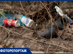 Природу не жалко, или как район Ставрополя тонет в мусоре
