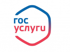 Большинство ставропольцев пользуется госуслугами онлайн