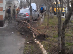 В Ставрополе «Приора» врезалась в ПАЗ с пассажирами