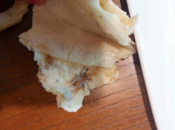 Цезарь-ролл с тараканом продали девушке в ставропольском кафе Coocoorooza