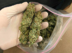 За хранение в автомобиле 1,5 кг марихуаны ставропольцу грозит до 10 лет тюрьмы