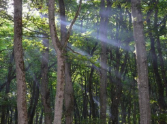 Меры противопожарной безопасности усилены на Ставрополье