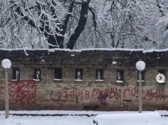 Ставропольские школьники испортили краской Крепостную стену