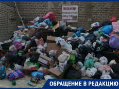 Слово «Эко-Сити», мусор на асфальте: ставропольцы бьют тревогу из-за скопившихся отходов в контейнерах 