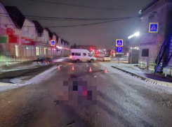 Водитель «ГАЗели» насмерть сбил неосторожного пешехода в Михайловске