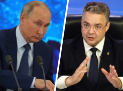 Президент России похвалил работу губернаторов в борьбе с коронавирусом 