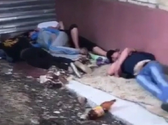 Наркоманы устроили лежбище рядом с аптекой, где закупаются, - очевидцы в Невинномысске