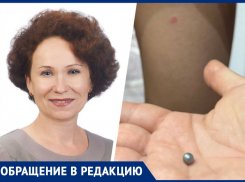 Гимназия просит не вмешиваться: школьник в Ставрополе стрелял в одноклассников