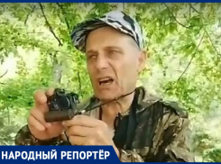 В парке Железноводска провокатор избил бездомную собаку 
