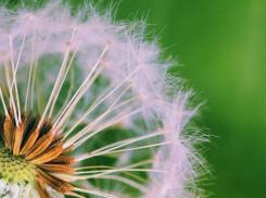 Четверг в Ставрополе будет теплым и немного ветреным 