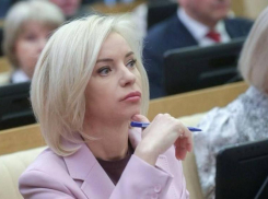 Депутата от Ставрополья Казакову выдвинули на пост главы комитета Госдумы по культуре