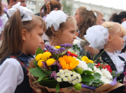 Ставрополье утонуло в цветах в первый день осени