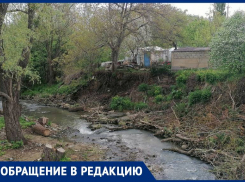 Захламленный сухостоем и бытовым мусором берег реки изумил жителей Ставрополя