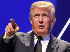 Котом в мешке посчитали победу Дональда Трампа ставропольские политики