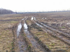 Фекалиями затопило сельхозугодия в Шпаковском округе 