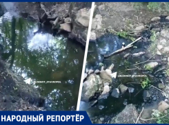 Нефтяная как мазут вода у Татарского городища шокировала ставропольца