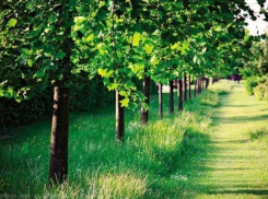 Благоустройство переулка Зеленого в Ставрополе закончат к сентябрю