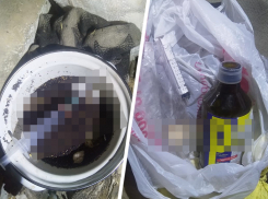 На Ставрополье пенсионер содержал наркопритон в селе Дивном