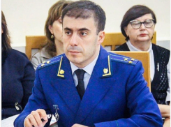 Источник: прокурор Игнатиади, запретивший приватизацию парка Минвод, уходит в отставку