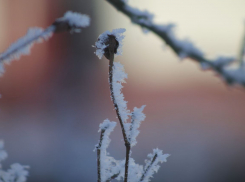 Погодные качели предрекли ставропольцам 16 февраля 