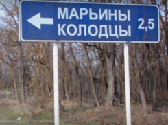 В Марьиных Колодцах на отравление пожаловались 51 ребенок и 12 взрослых