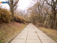Комсомольский пруд и Холодные родники в Ставрополе хотят соединить через лес за 34 миллиона рублей