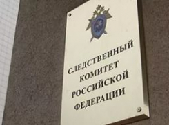 СК детально займется расследованием дела о подбрасывании младенца в бэби-бокс