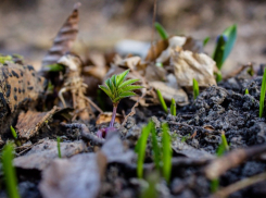Середина недели не порадует ставропольцев солнцем