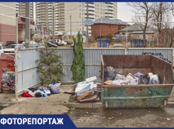 Елки на помойке: к Старому новому году ставропольцы отправили праздник на свалку