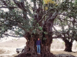 Гигантский «баобаб» нашел в ставропольской саванне молодой мужчина